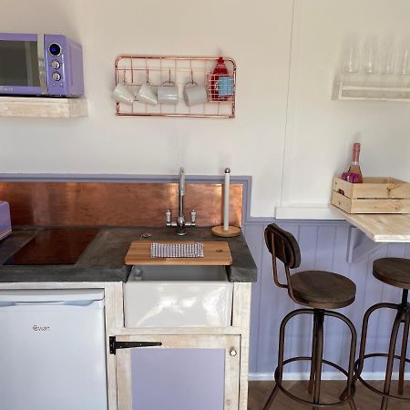 Lilac Tree Hut Тенби Экстерьер фото